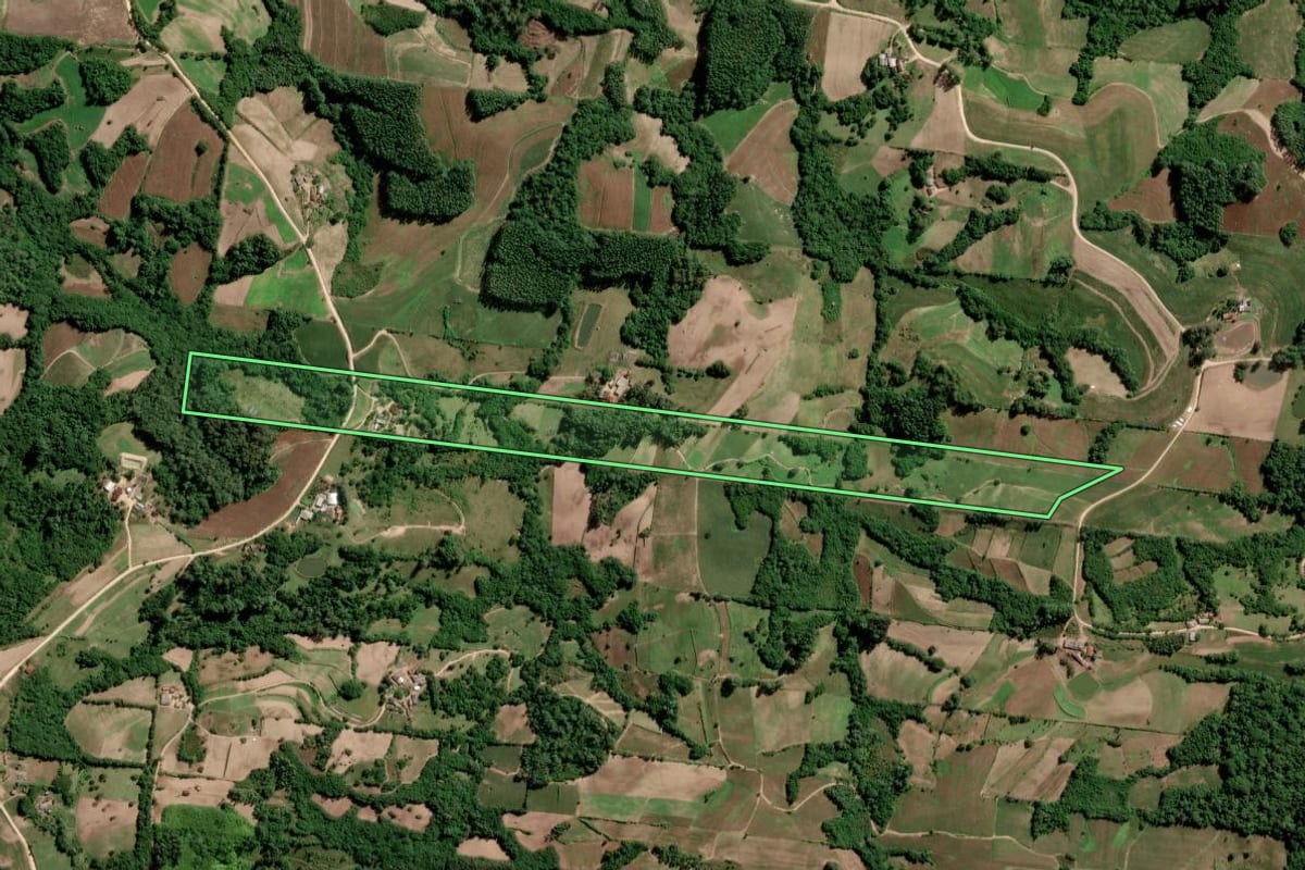 Imagem de satélite do imóvel rural em São Lourenço do Sul (RS), com o contorno declarado no CAR desenhado por cima.
