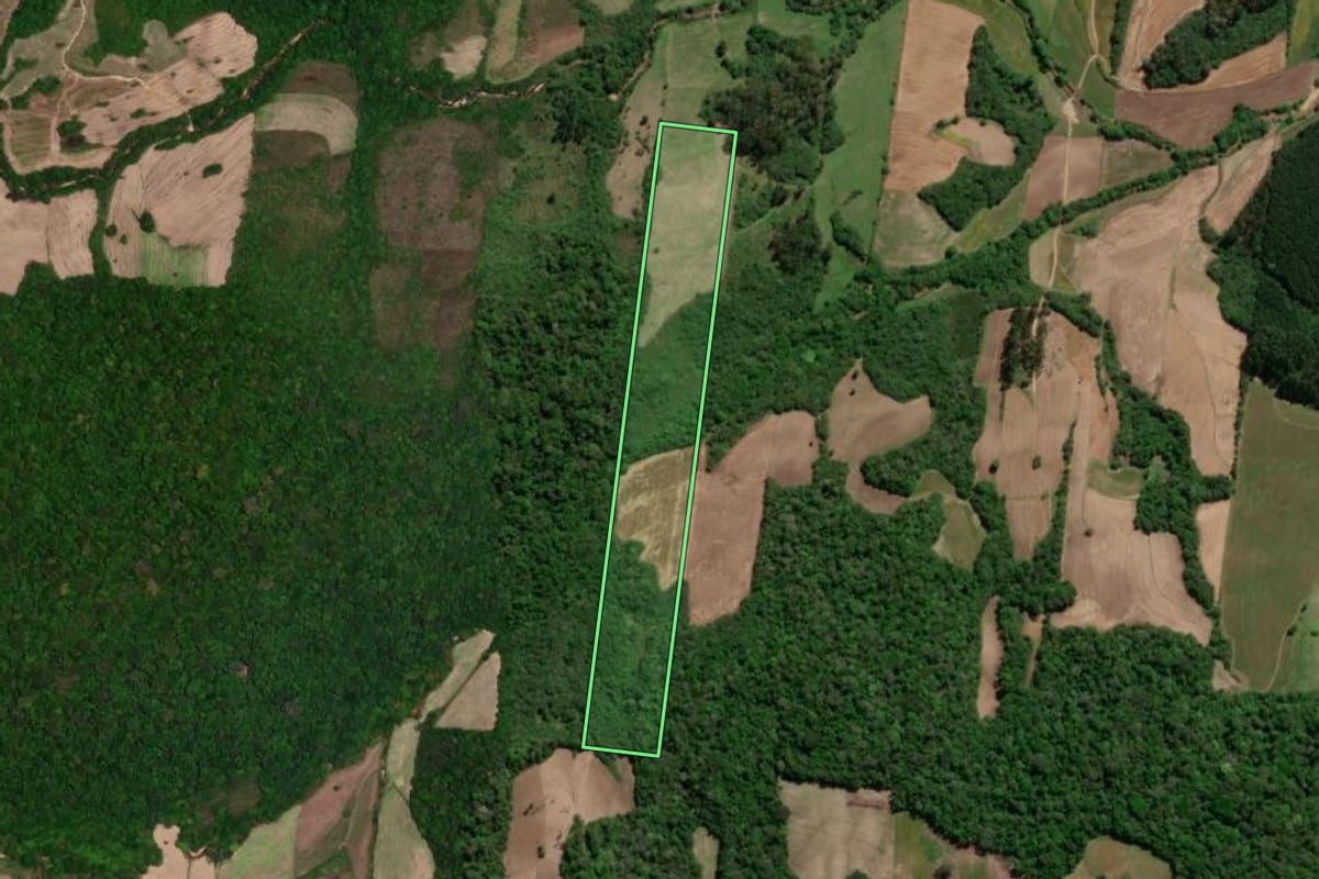Imagem de satélite do imóvel rural em São Lourenço do Sul (RS), com o contorno declarado no CAR desenhado por cima.