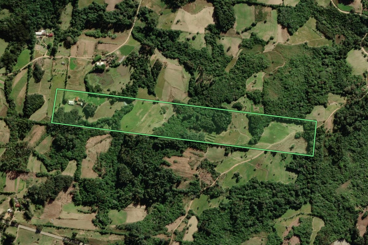 Imagem de satélite do imóvel rural em São Lourenço do Sul (RS), com o contorno declarado no CAR desenhado por cima.