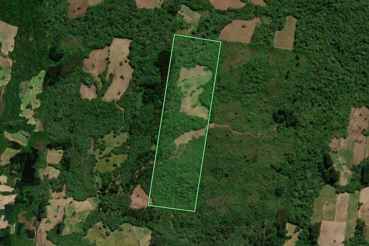 Imagem de satélite do imóvel rural em São Lourenço do Sul (RS), com o contorno declarado no CAR desenhado por cima.