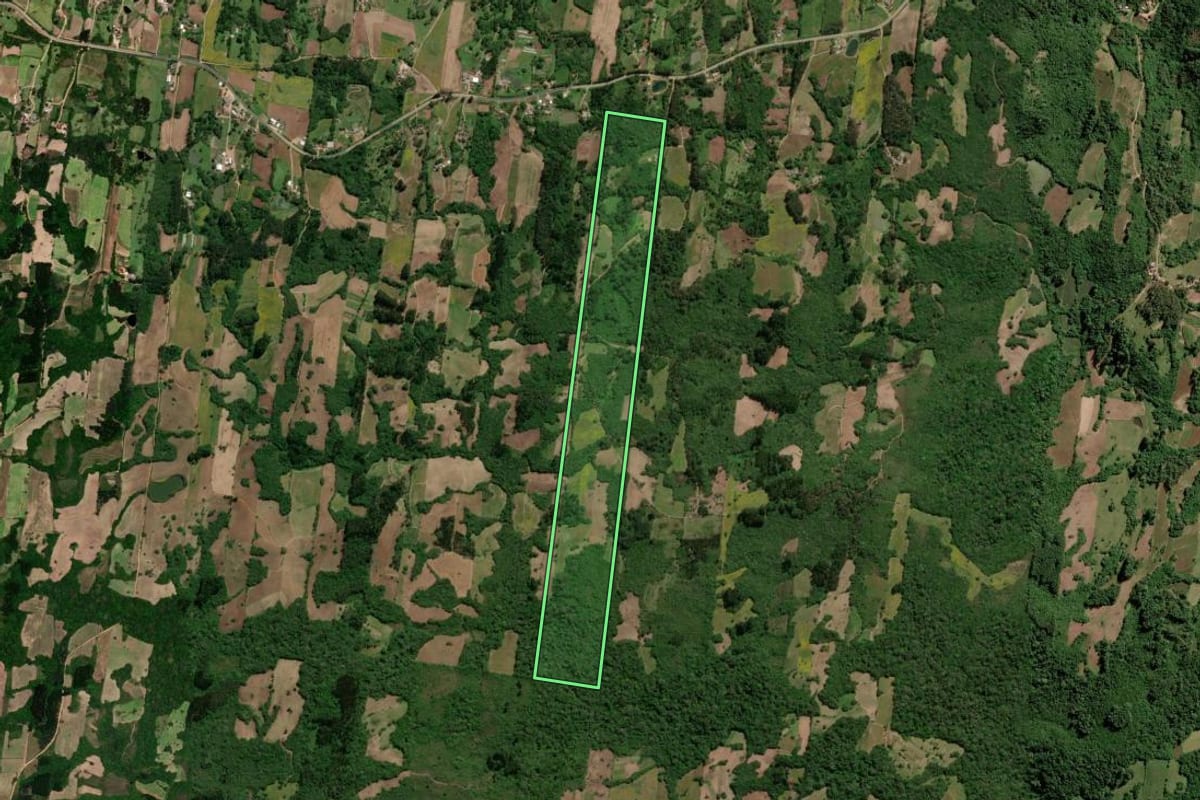Imagem de satélite do imóvel rural em São Lourenço do Sul (RS), com o contorno declarado no CAR desenhado por cima.