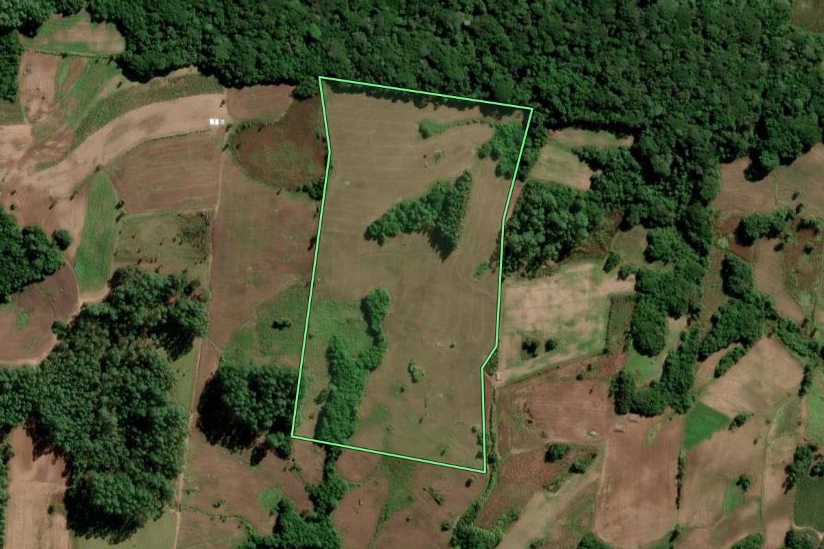 Imagem de satélite do imóvel rural em São Lourenço do Sul (RS), com o contorno declarado no CAR desenhado por cima.