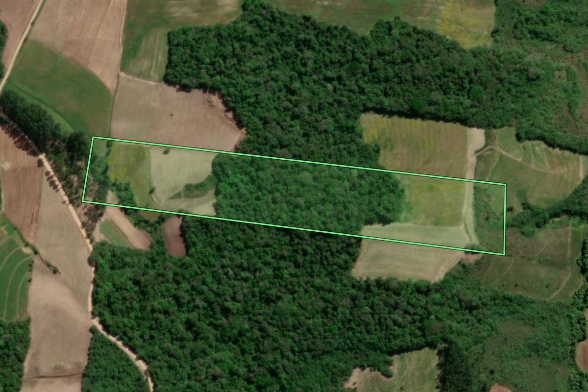Imagem de satélite do imóvel rural em São Lourenço do Sul (RS), com o contorno declarado no CAR desenhado por cima.