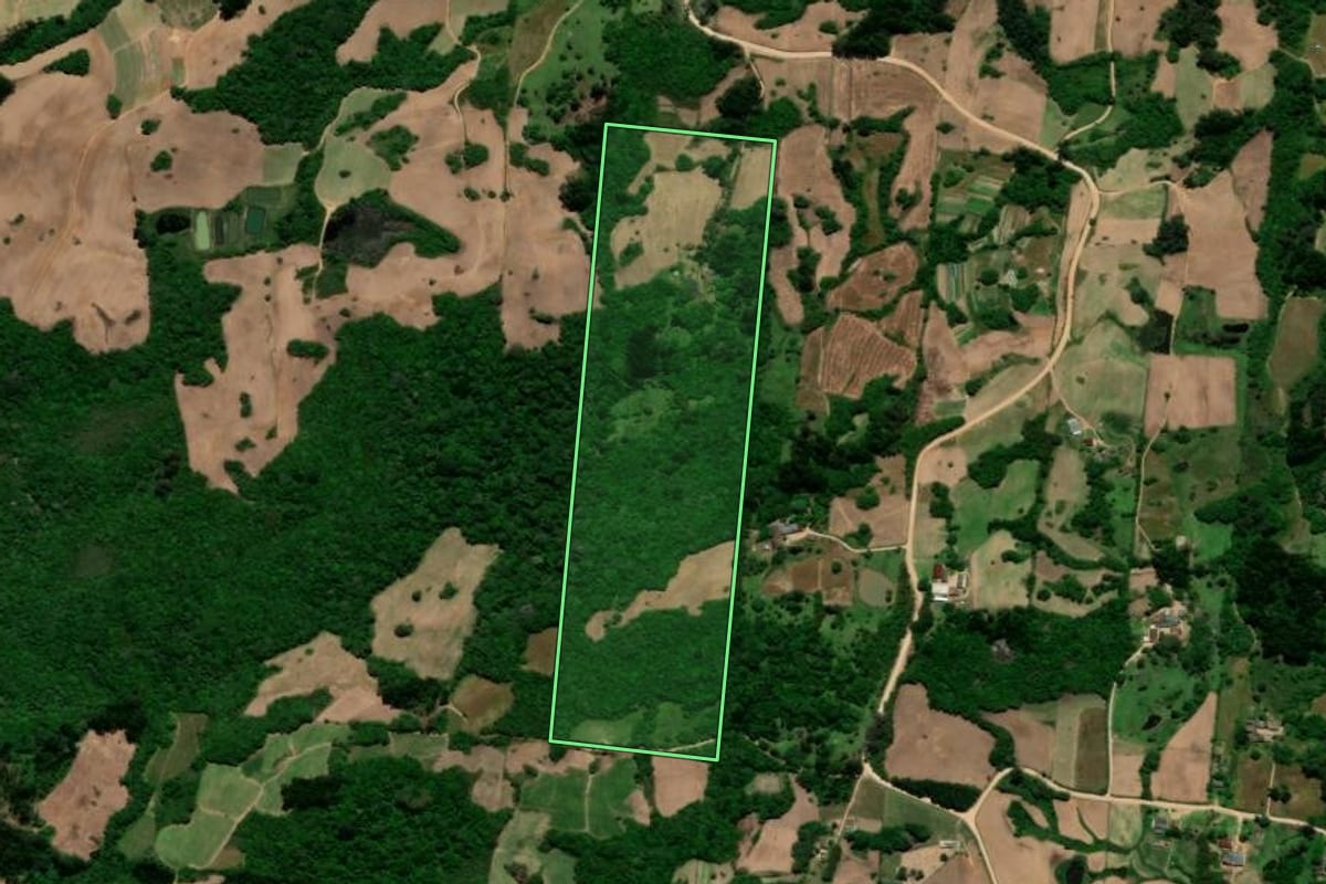 Imagem de satélite do imóvel rural em São Lourenço do Sul (RS), com o contorno declarado no CAR desenhado por cima.
