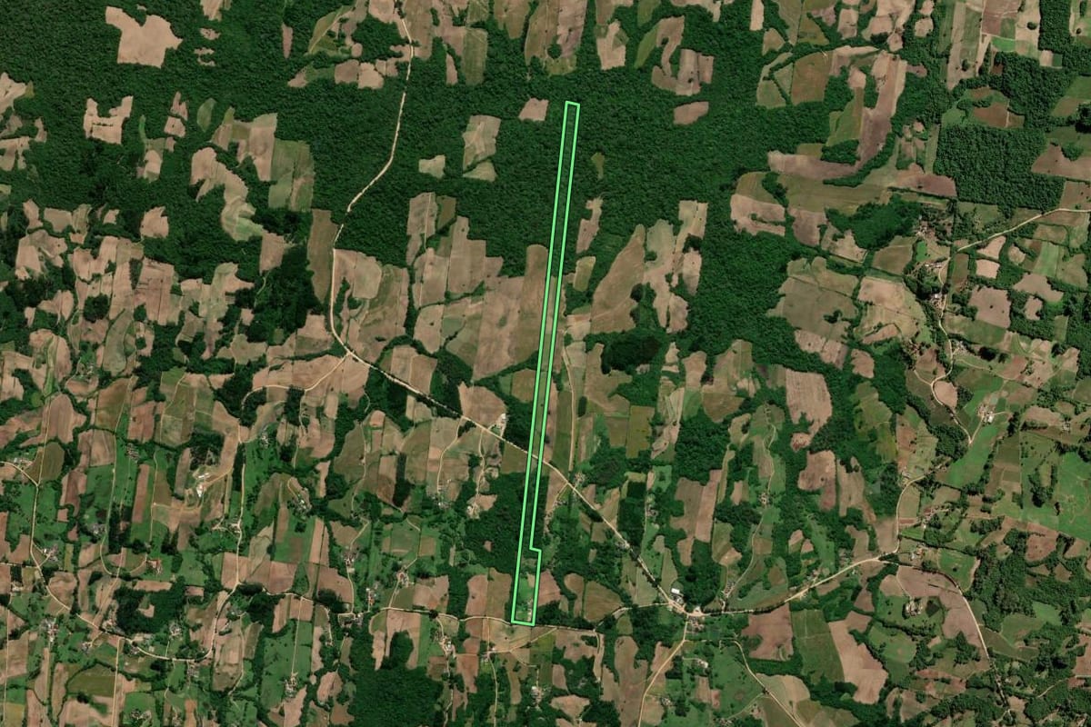 Imagem de satélite do imóvel rural em São Lourenço do Sul (RS), com o contorno declarado no CAR desenhado por cima.