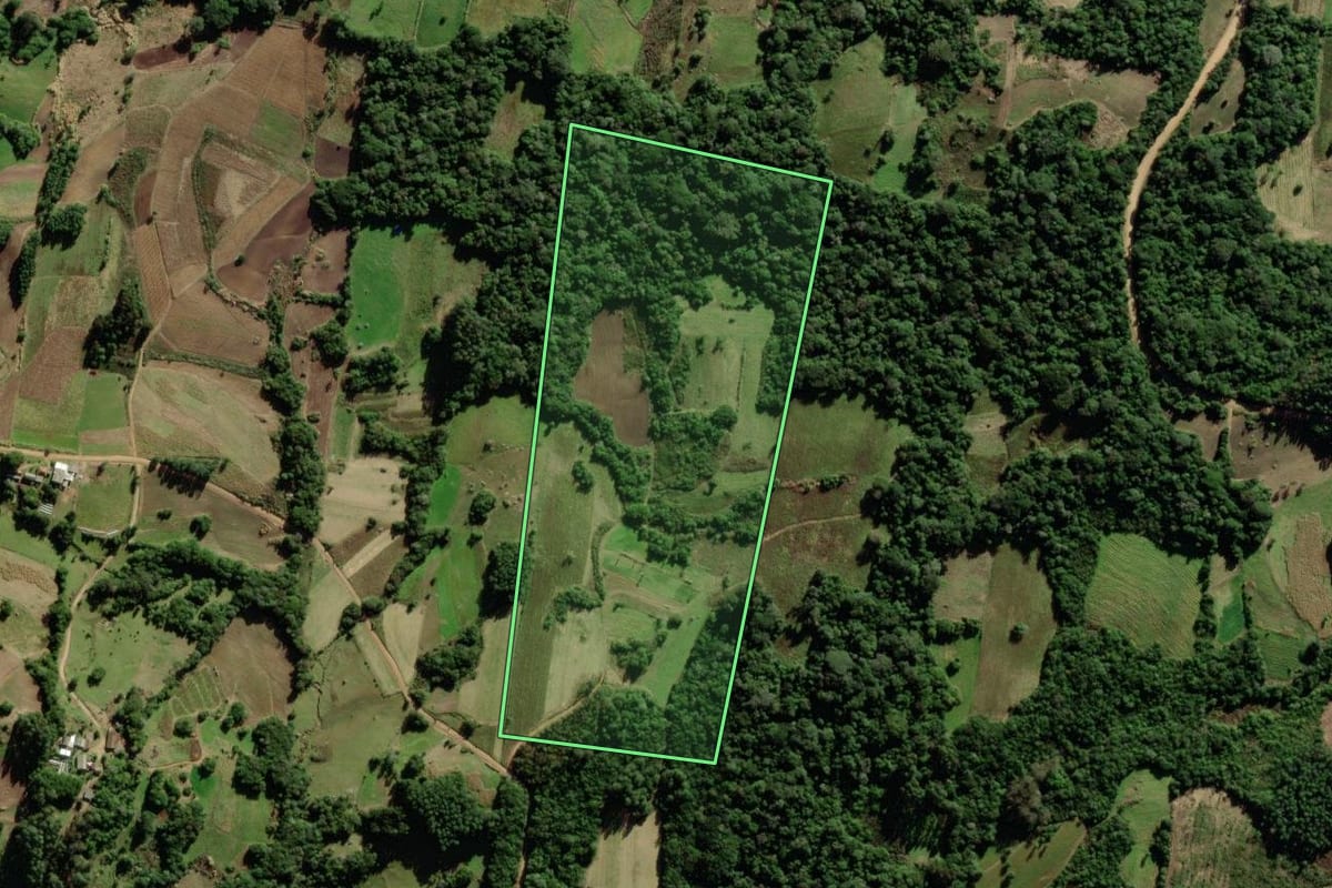 Imagem de satélite do imóvel rural em São Lourenço do Sul (RS), com o contorno declarado no CAR desenhado por cima.