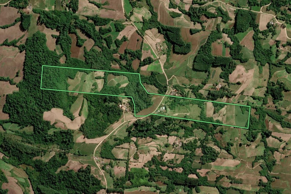Imagem de satélite do imóvel rural em São Lourenço do Sul (RS), com o contorno declarado no CAR desenhado por cima.