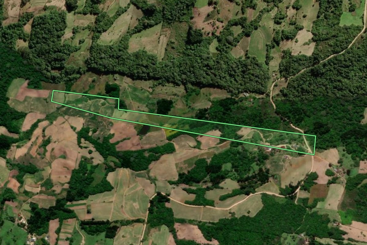 Imagem de satélite do imóvel rural em São Lourenço do Sul (RS), com o contorno declarado no CAR desenhado por cima.