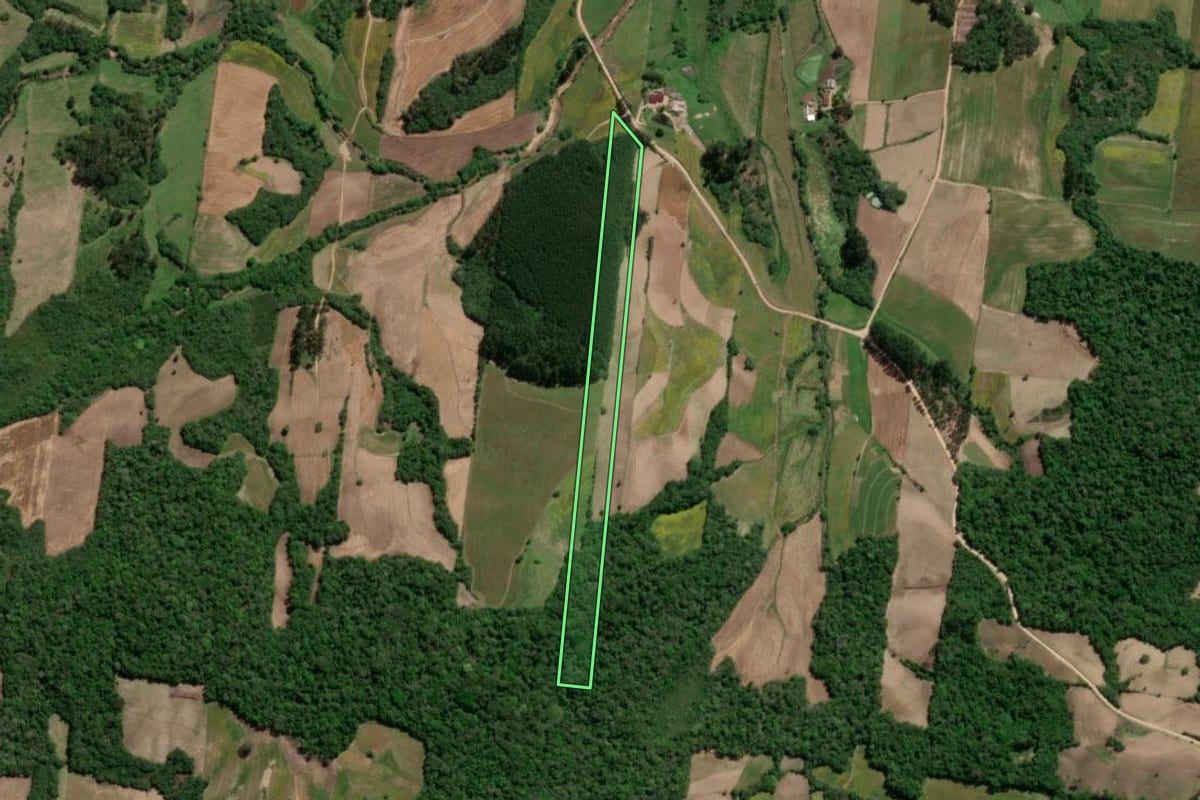 Imagem de satélite do imóvel rural em São Lourenço do Sul (RS), com o contorno declarado no CAR desenhado por cima.