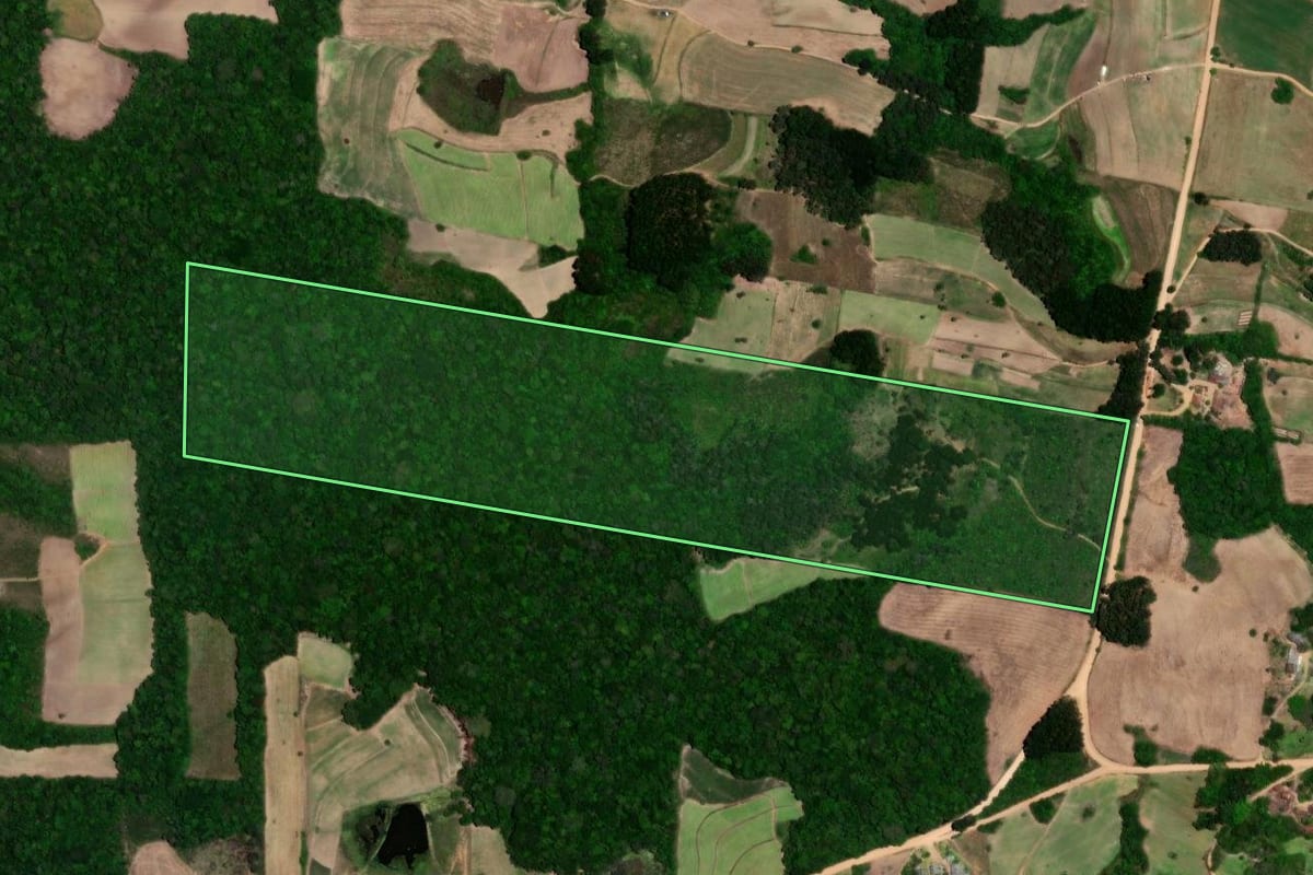 Imagem de satélite do imóvel rural em São Lourenço do Sul (RS), com o contorno declarado no CAR desenhado por cima.