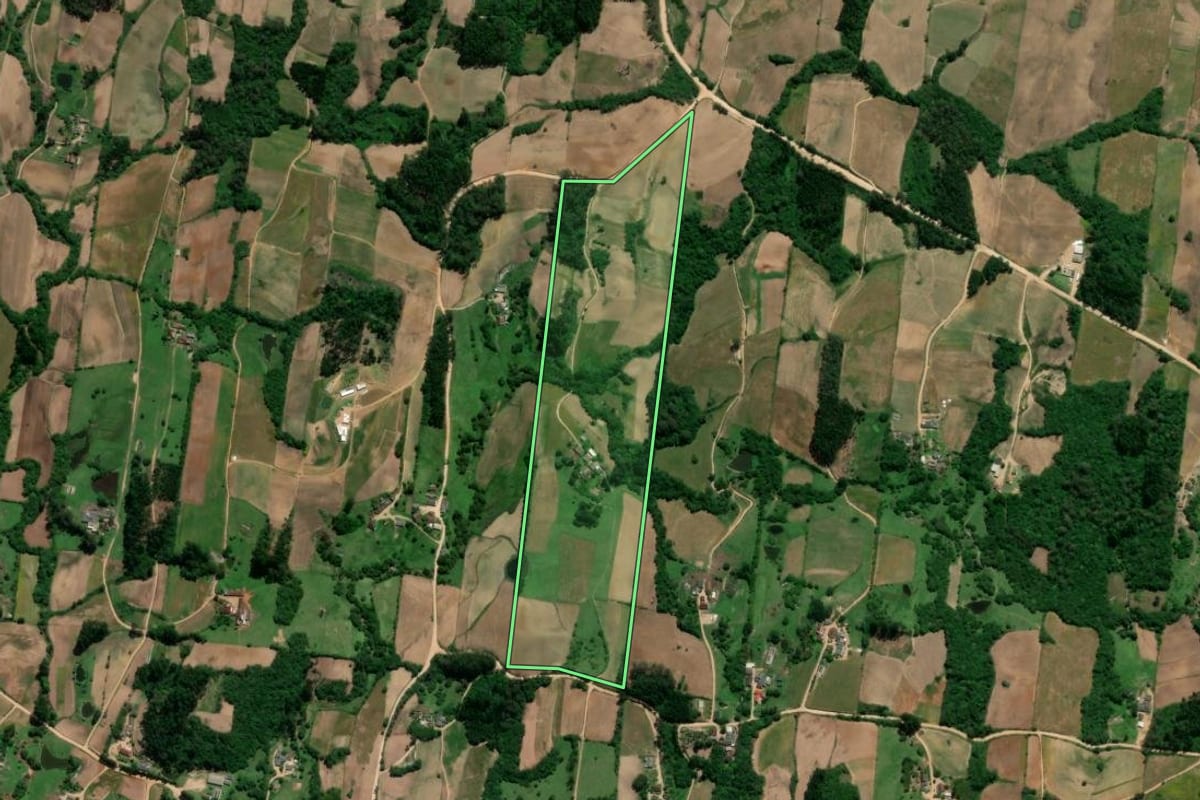 Imagem de satélite do imóvel rural em São Lourenço do Sul (RS), com o contorno declarado no CAR desenhado por cima.
