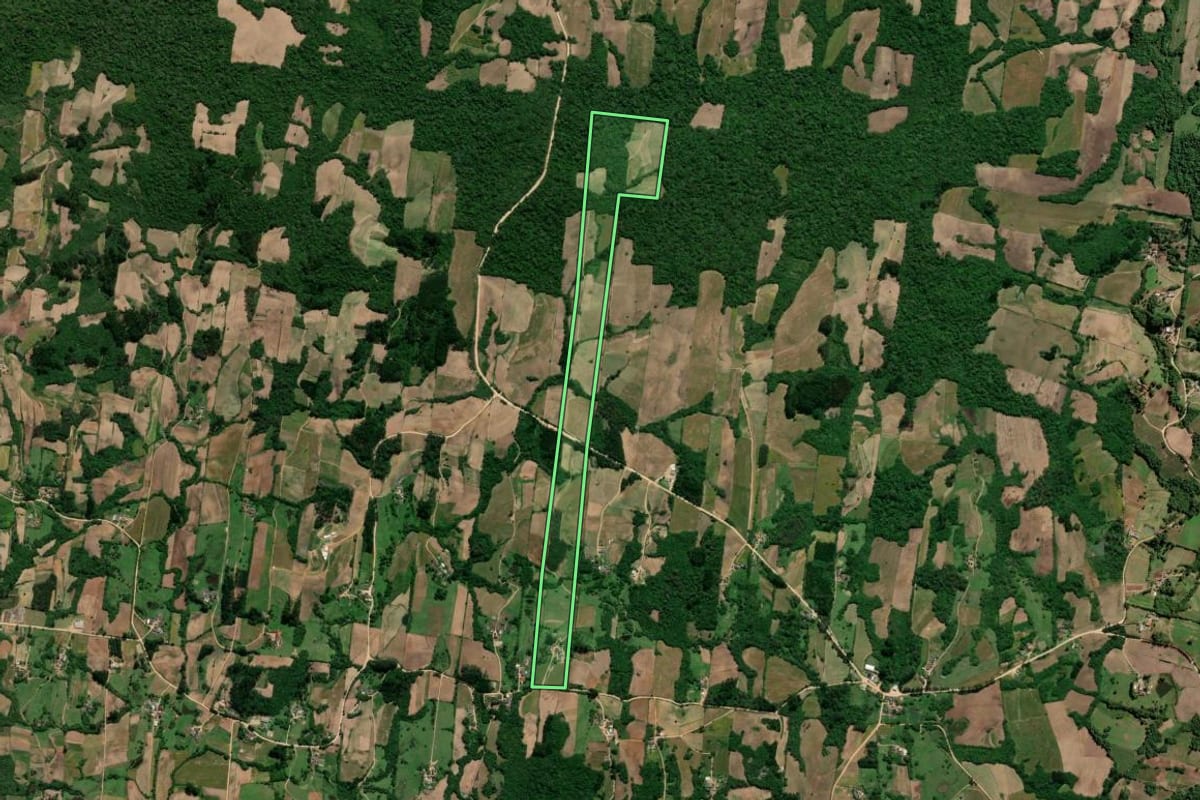 Imagem de satélite do imóvel rural em São Lourenço do Sul (RS), com o contorno declarado no CAR desenhado por cima.