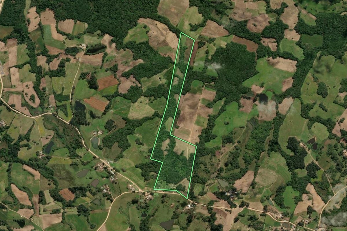 Imagem de satélite do imóvel rural em São Lourenço do Sul (RS), com o contorno declarado no CAR desenhado por cima.