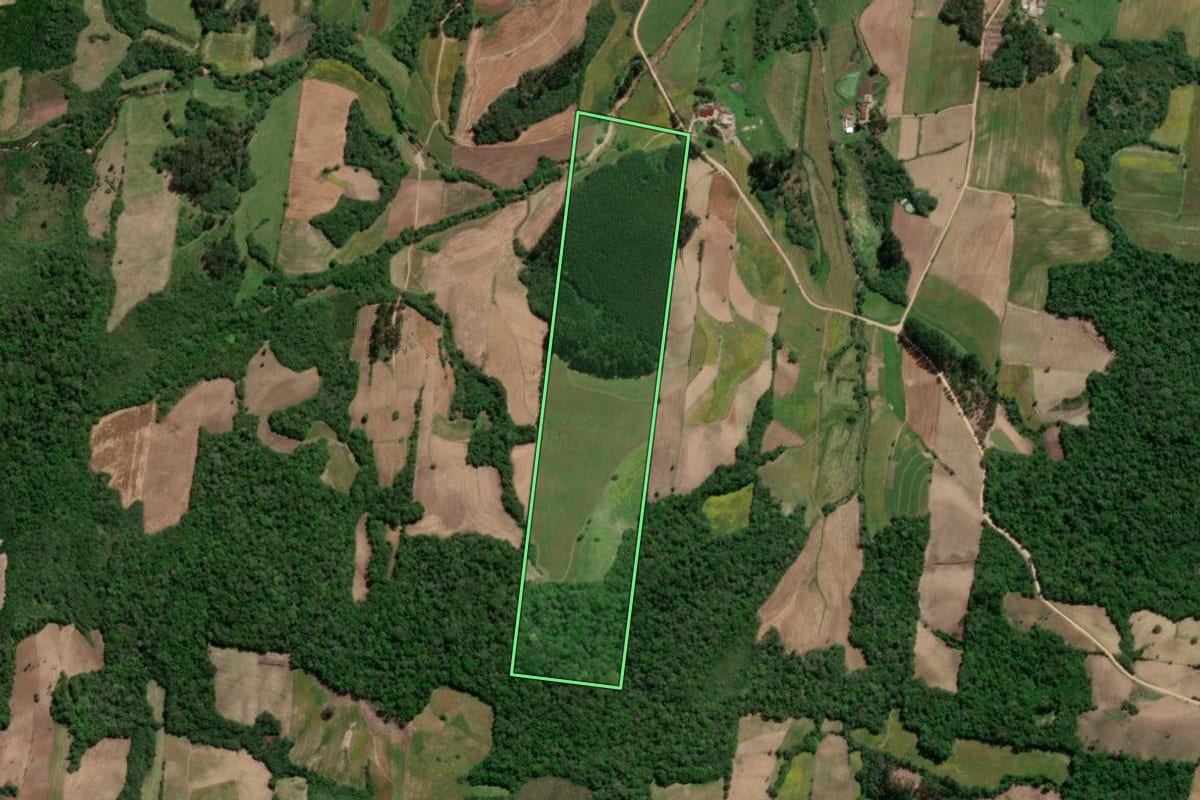 Imagem de satélite do imóvel rural em São Lourenço do Sul (RS), com o contorno declarado no CAR desenhado por cima.