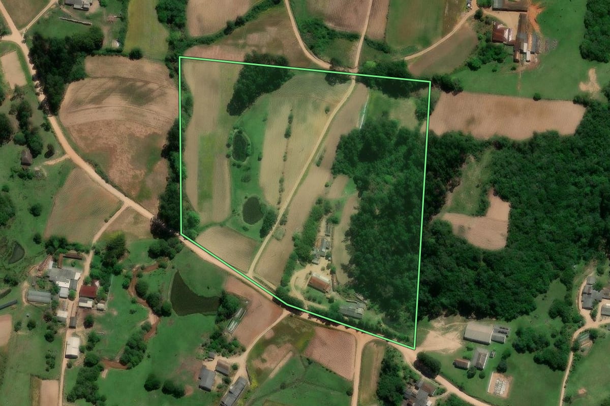 Imagem de satélite do imóvel rural em São Lourenço do Sul (RS), com o contorno declarado no CAR desenhado por cima.