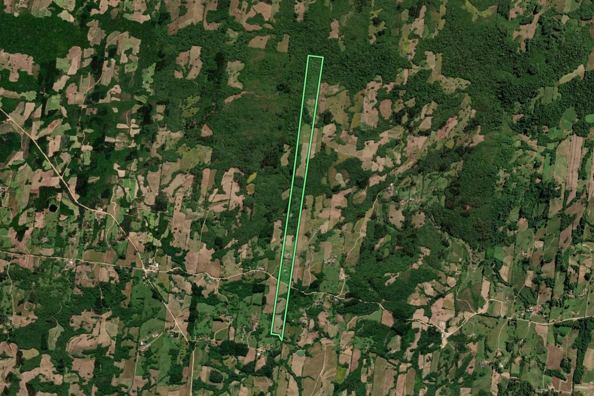 Imagem de satélite do imóvel rural em São Lourenço do Sul (RS), com o contorno declarado no CAR desenhado por cima.