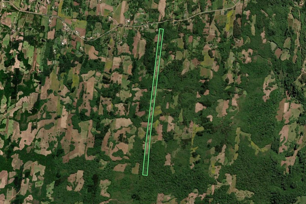 Imagem de satélite do imóvel rural em São Lourenço do Sul (RS), com o contorno declarado no CAR desenhado por cima.