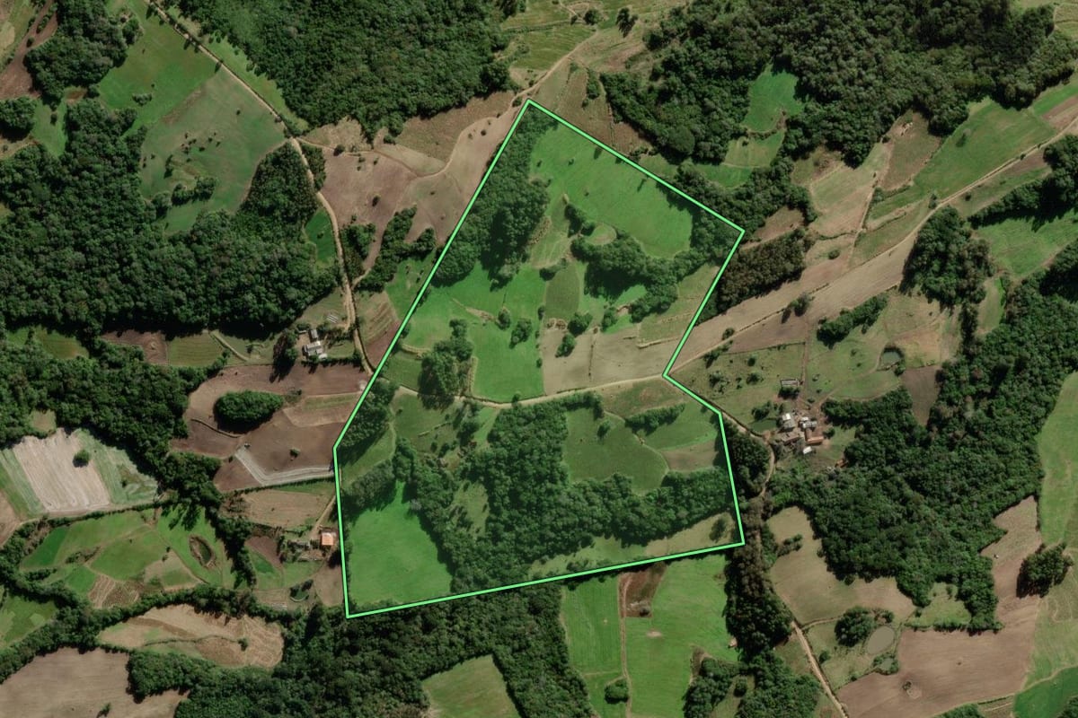 Imagem de satélite do imóvel rural em São Lourenço do Sul (RS), com o contorno declarado no CAR desenhado por cima.