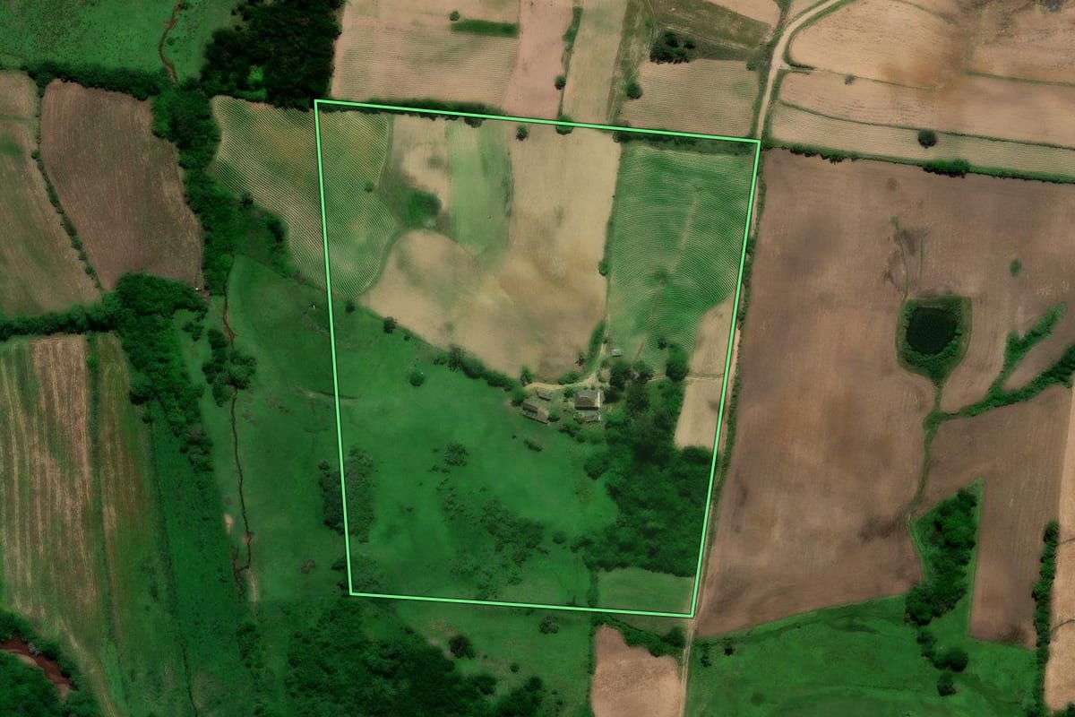 Imagem de satélite do imóvel rural em São Lourenço do Sul (RS), com o contorno declarado no CAR desenhado por cima.