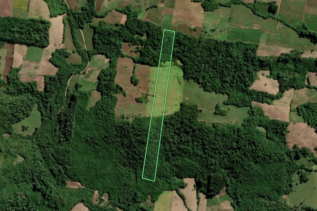 Imagem de satélite do imóvel rural em São Lourenço do Sul (RS), com o contorno declarado no CAR desenhado por cima.