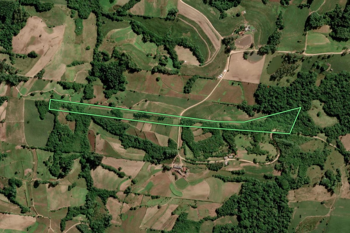 Imagem de satélite do imóvel rural em São Lourenço do Sul (RS), com o contorno declarado no CAR desenhado por cima.