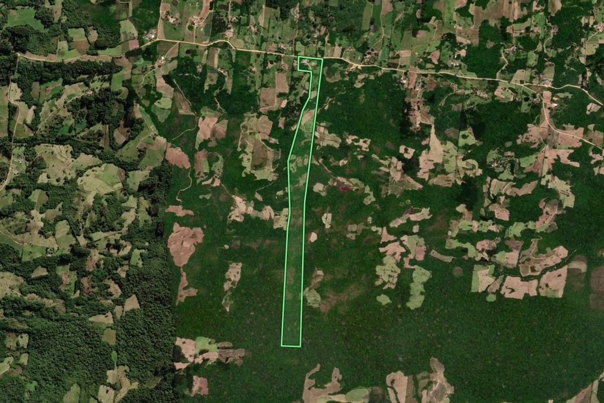 Imagem de satélite do imóvel rural em São Lourenço do Sul (RS), com o contorno declarado no CAR desenhado por cima.