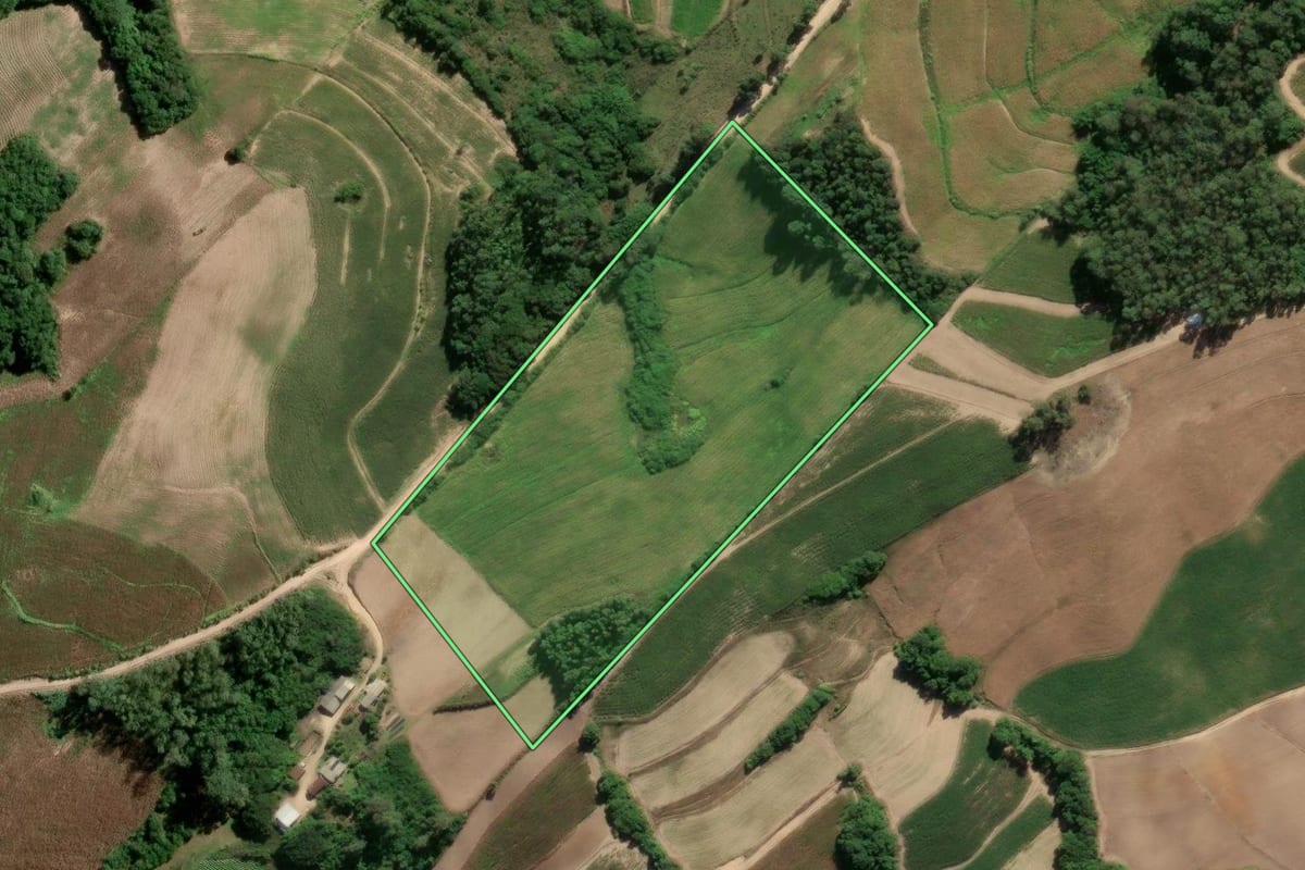 Imagem de satélite do imóvel rural em São Lourenço do Sul (RS), com o contorno declarado no CAR desenhado por cima.