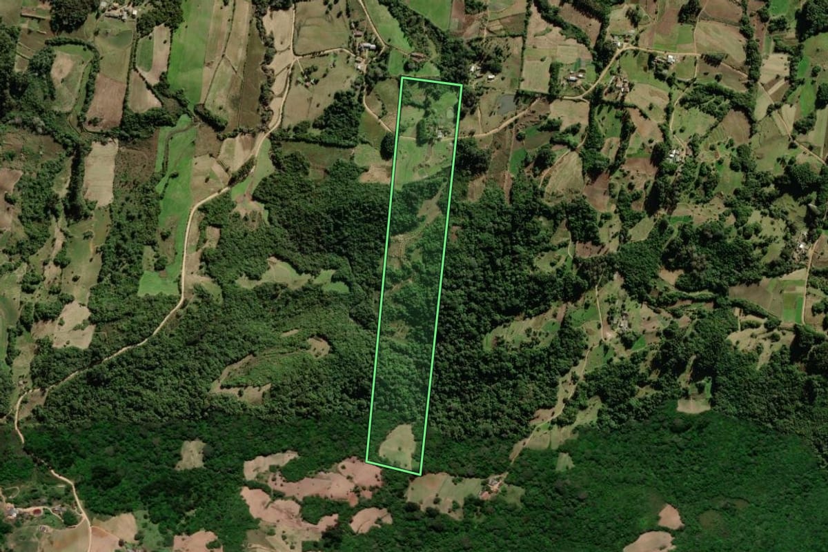 Imagem de satélite do imóvel rural em São Lourenço do Sul (RS), com o contorno declarado no CAR desenhado por cima.