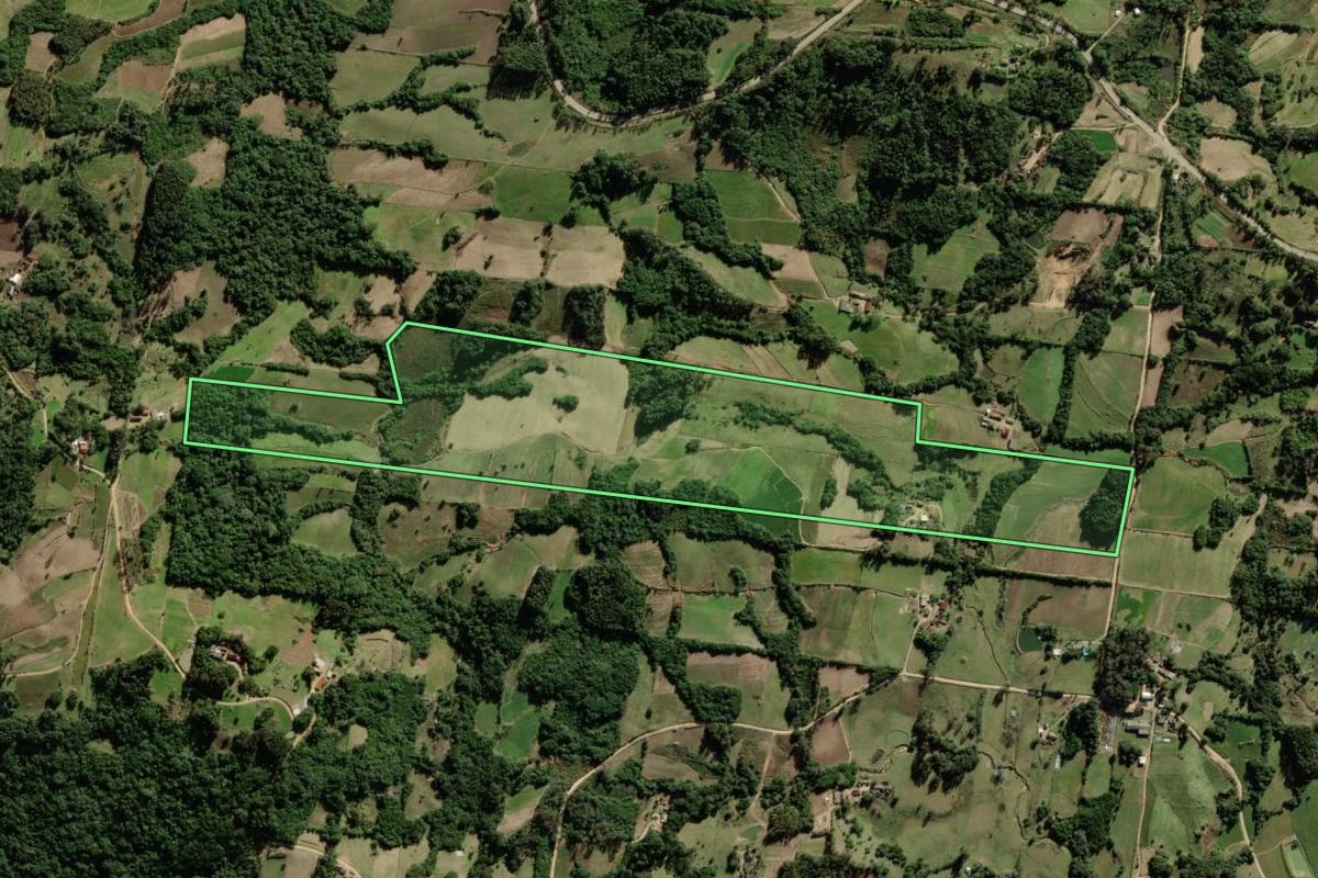 Imagem de satélite do imóvel rural em São Lourenço do Sul (RS), com o contorno declarado no CAR desenhado por cima.