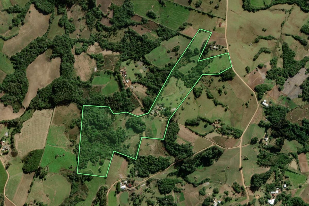 Imagem de satélite do imóvel rural em São Lourenço do Sul (RS), com o contorno declarado no CAR desenhado por cima.