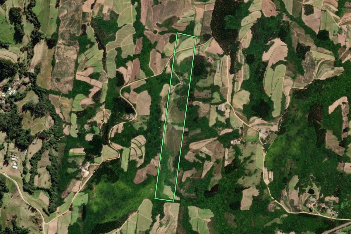 Imagem de satélite do imóvel rural em São Lourenço do Sul (RS), com o contorno declarado no CAR desenhado por cima.
