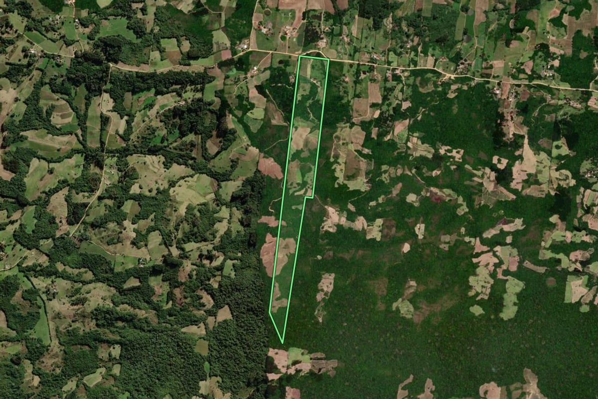 Imagem de satélite do imóvel rural em São Lourenço do Sul (RS), com o contorno declarado no CAR desenhado por cima.
