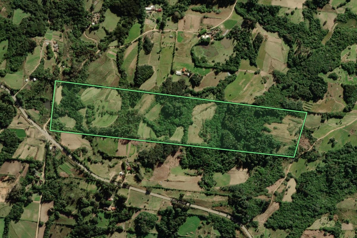 Imagem de satélite do imóvel rural em São Lourenço do Sul (RS), com o contorno declarado no CAR desenhado por cima.
