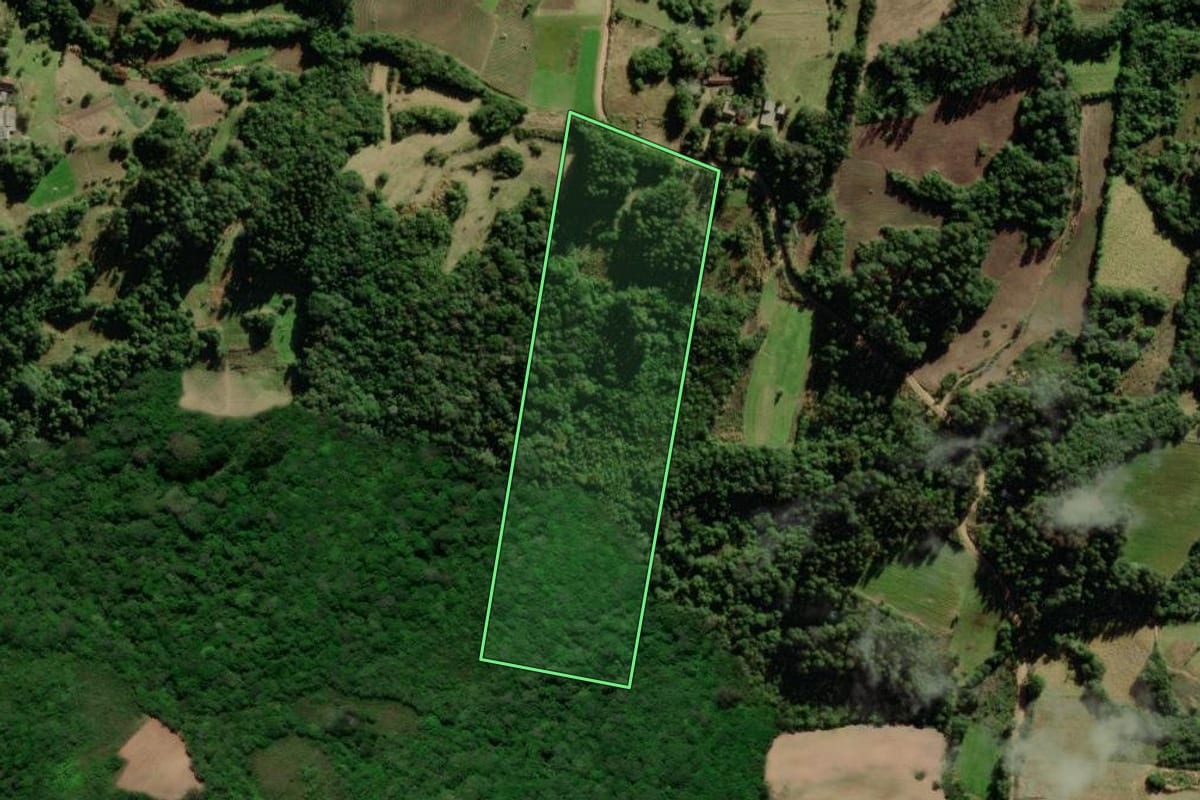 Imagem de satélite do imóvel rural em São Lourenço do Sul (RS), com o contorno declarado no CAR desenhado por cima.