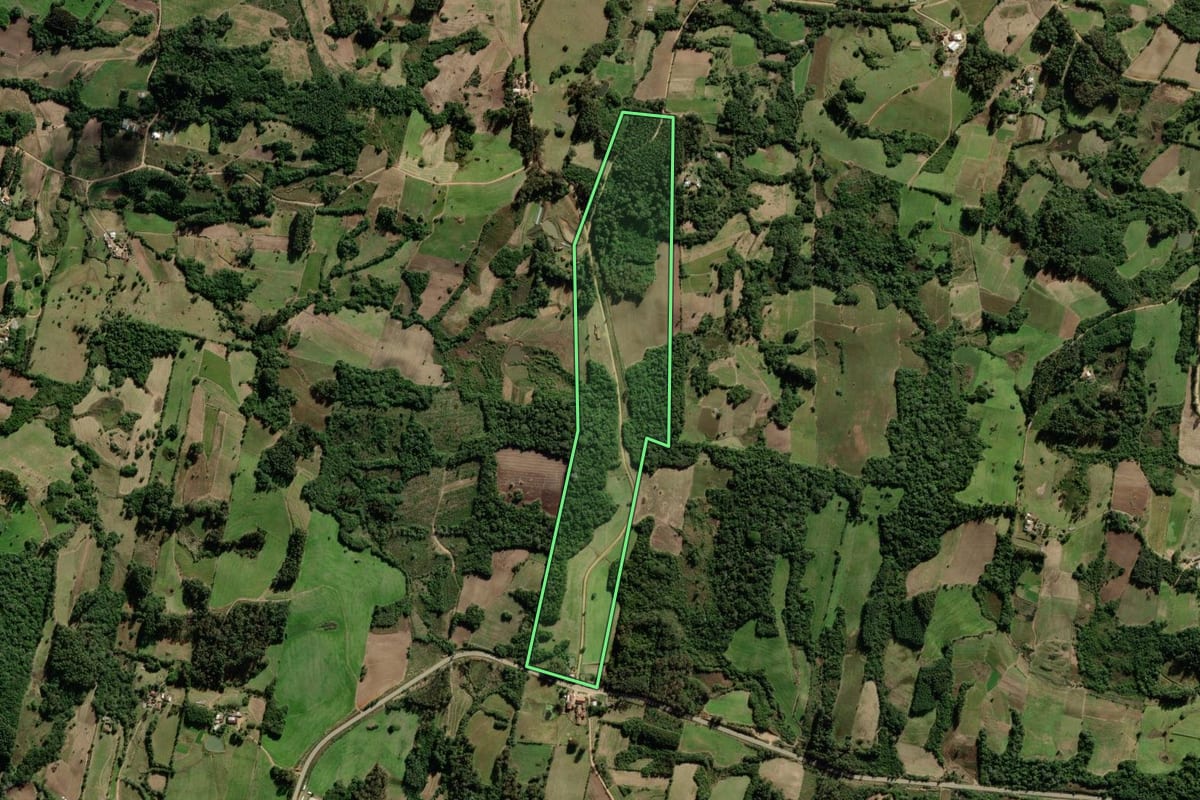 Imagem de satélite do imóvel rural em São Lourenço do Sul (RS), com o contorno declarado no CAR desenhado por cima.