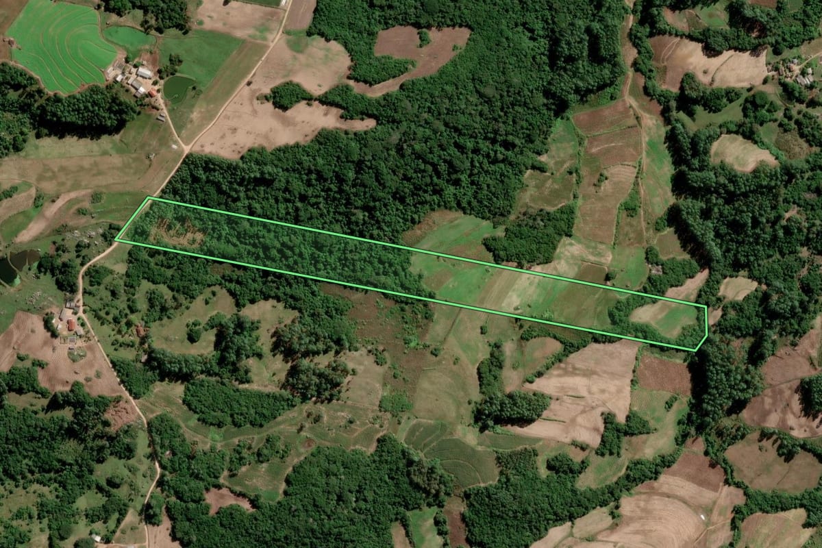 Imagem de satélite do imóvel rural em São Lourenço do Sul (RS), com o contorno declarado no CAR desenhado por cima.