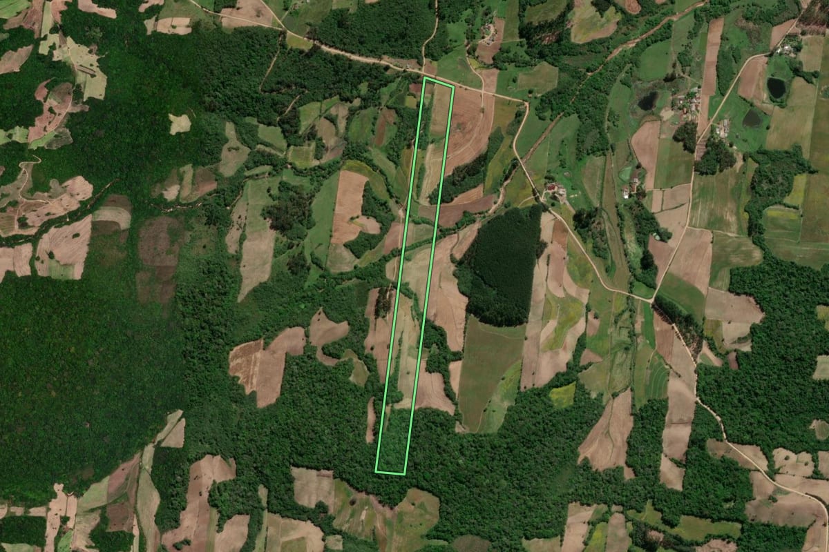 Imagem de satélite do imóvel rural em São Lourenço do Sul (RS), com o contorno declarado no CAR desenhado por cima.