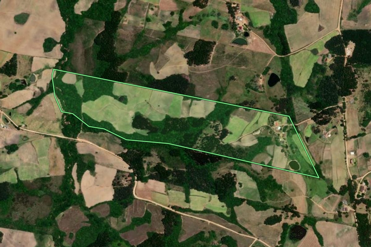 Imagem de satélite do imóvel rural em São Lourenço do Sul (RS), com o contorno declarado no CAR desenhado por cima.