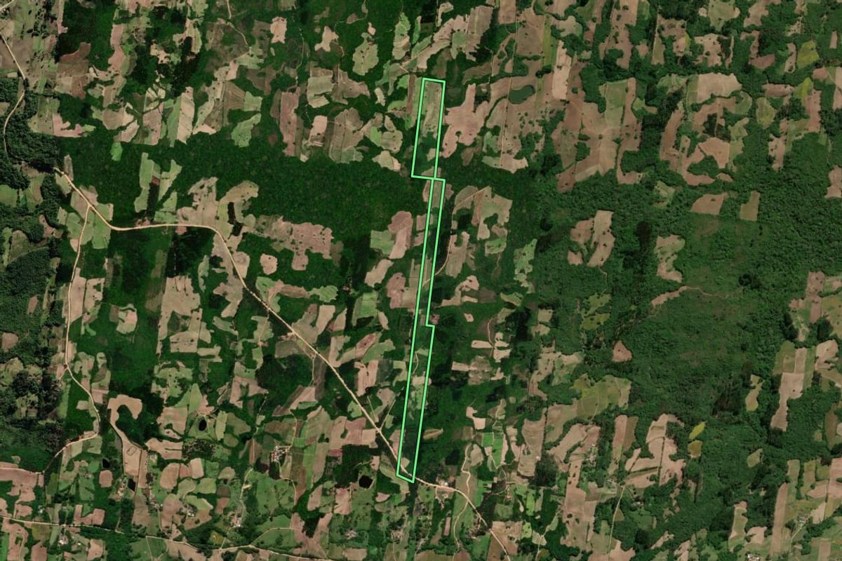 Imagem de satélite do imóvel rural em São Lourenço do Sul (RS), com o contorno declarado no CAR desenhado por cima.