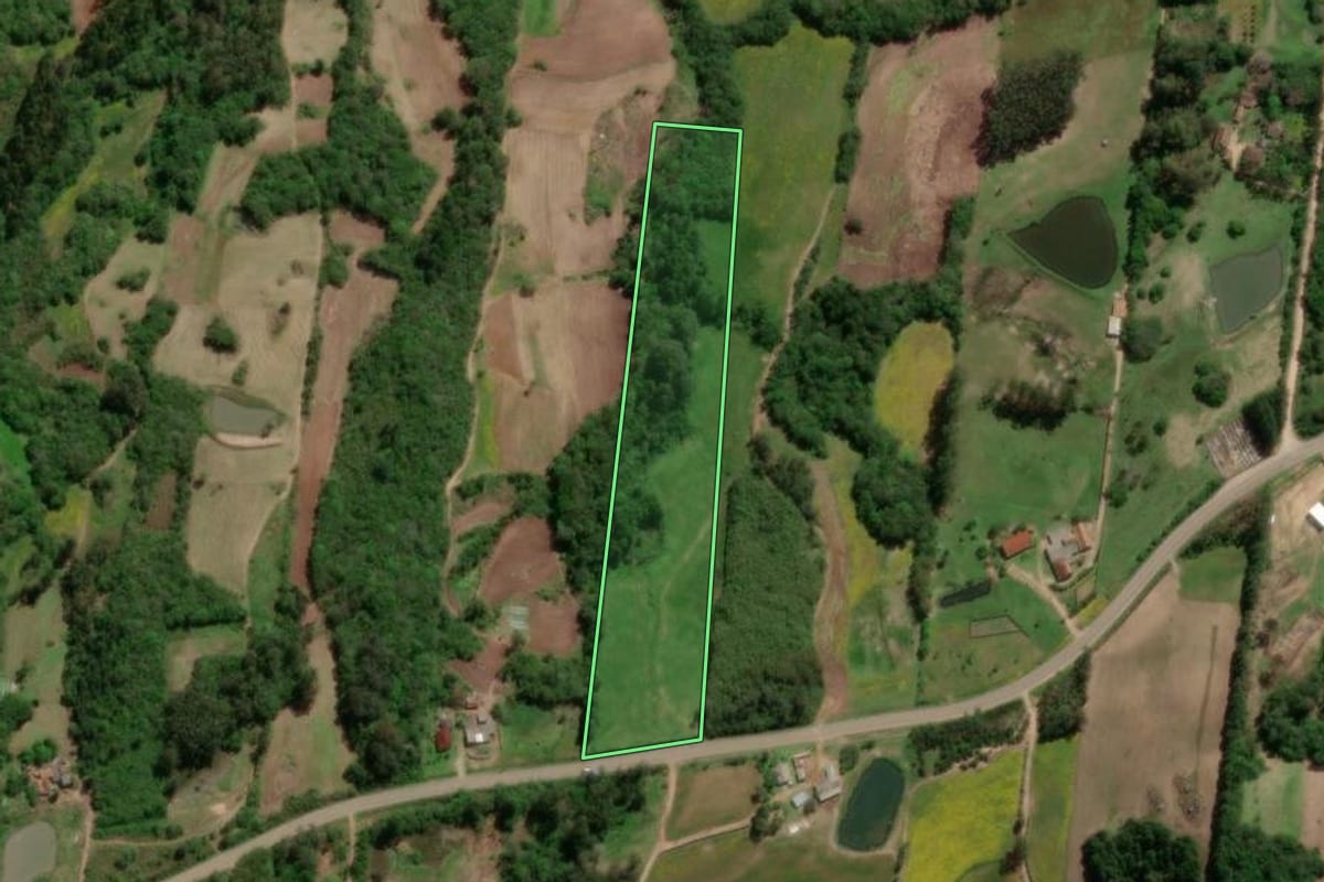 Imagem de satélite do imóvel rural em São Lourenço do Sul (RS), com o contorno declarado no CAR desenhado por cima.