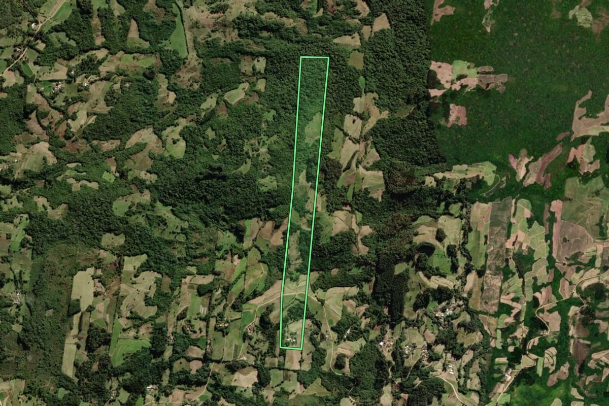 Imagem de satélite do imóvel rural em São Lourenço do Sul (RS), com o contorno declarado no CAR desenhado por cima.