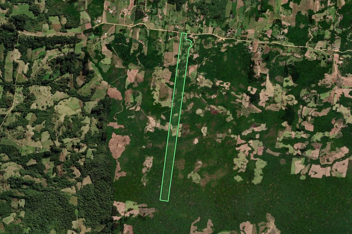 Imagem de satélite do imóvel rural em São Lourenço do Sul (RS), com o contorno declarado no CAR desenhado por cima.