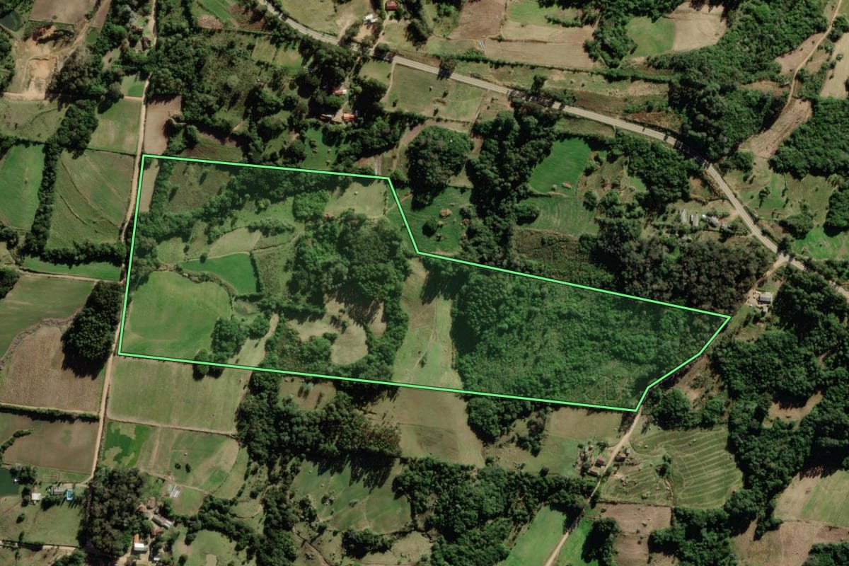 Imagem de satélite do imóvel rural em São Lourenço do Sul (RS), com o contorno declarado no CAR desenhado por cima.