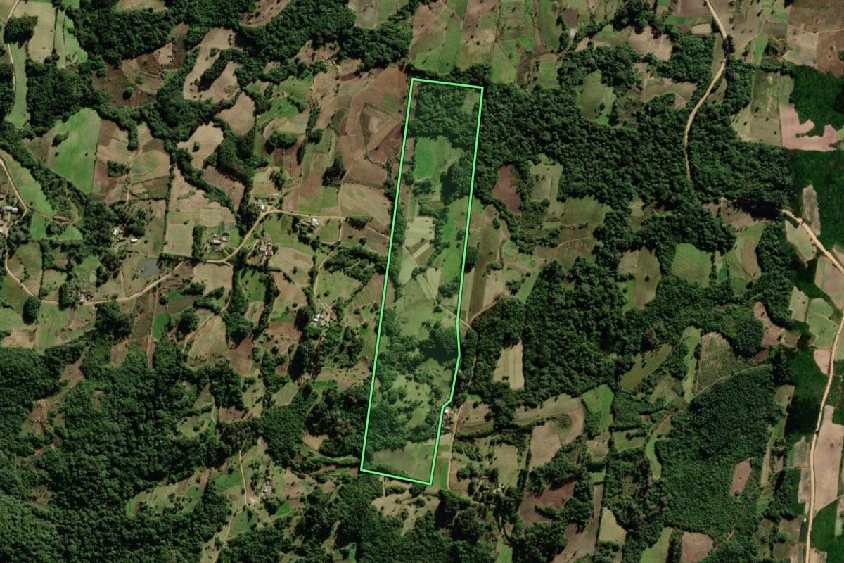 Imagem de satélite do imóvel rural em São Lourenço do Sul (RS), com o contorno declarado no CAR desenhado por cima.