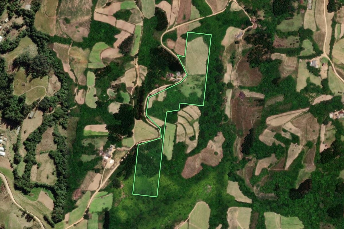 Imagem de satélite do imóvel rural em São Lourenço do Sul (RS), com o contorno declarado no CAR desenhado por cima.