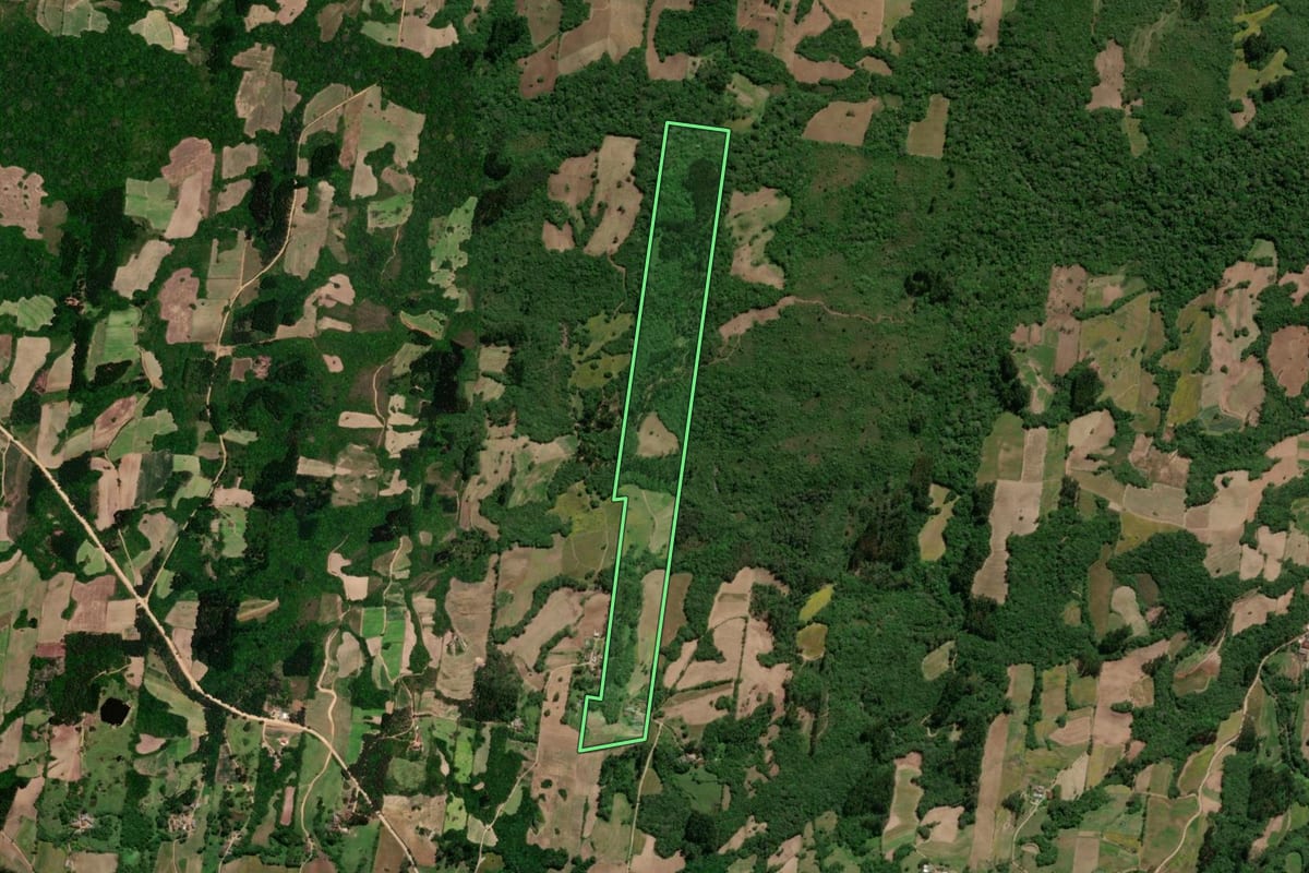 Imagem de satélite do imóvel rural em São Lourenço do Sul (RS), com o contorno declarado no CAR desenhado por cima.