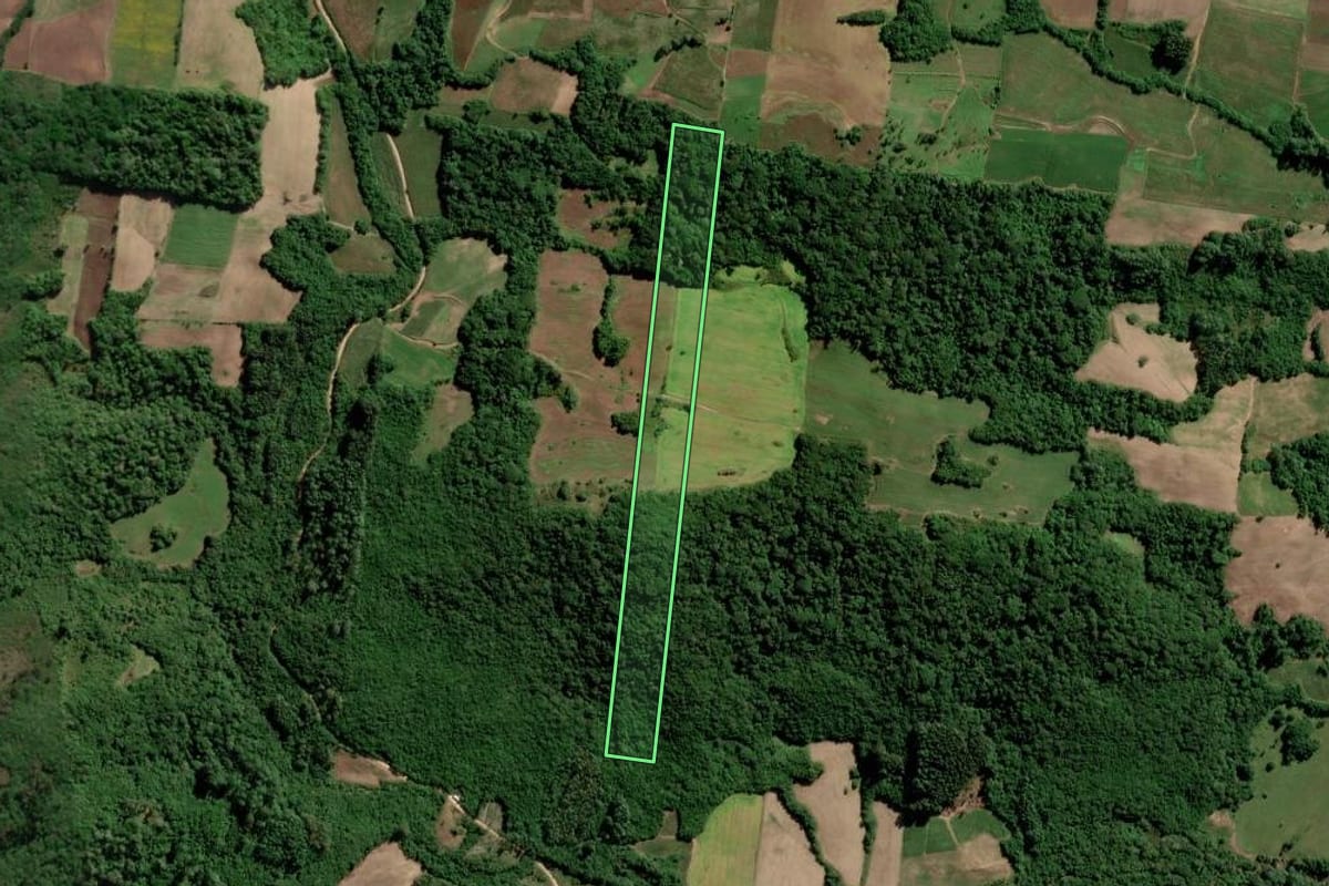 Imagem de satélite do imóvel rural em São Lourenço do Sul (RS), com o contorno declarado no CAR desenhado por cima.