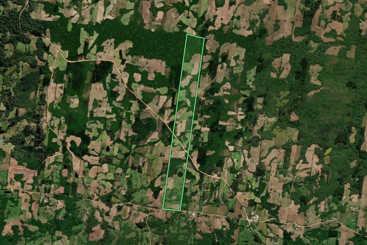 Imagem de satélite do imóvel rural em São Lourenço do Sul (RS), com o contorno declarado no CAR desenhado por cima.