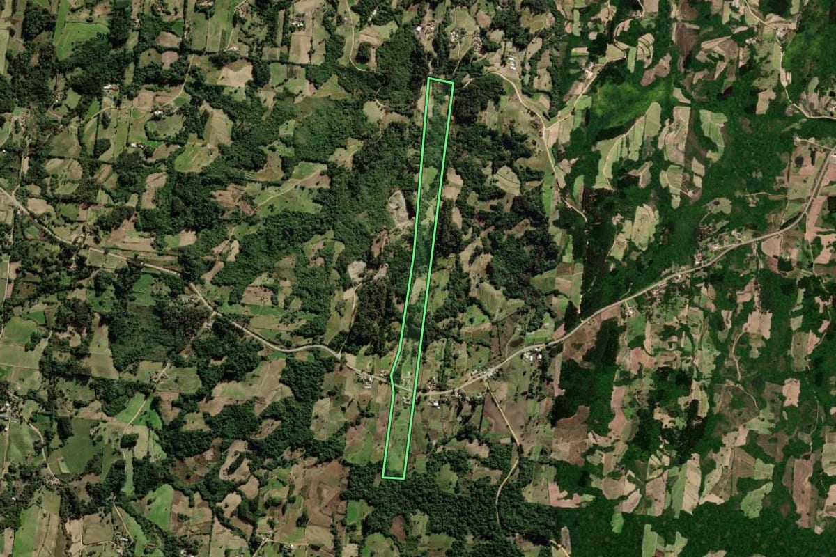 Imagem de satélite do imóvel rural em São Lourenço do Sul (RS), com o contorno declarado no CAR desenhado por cima.