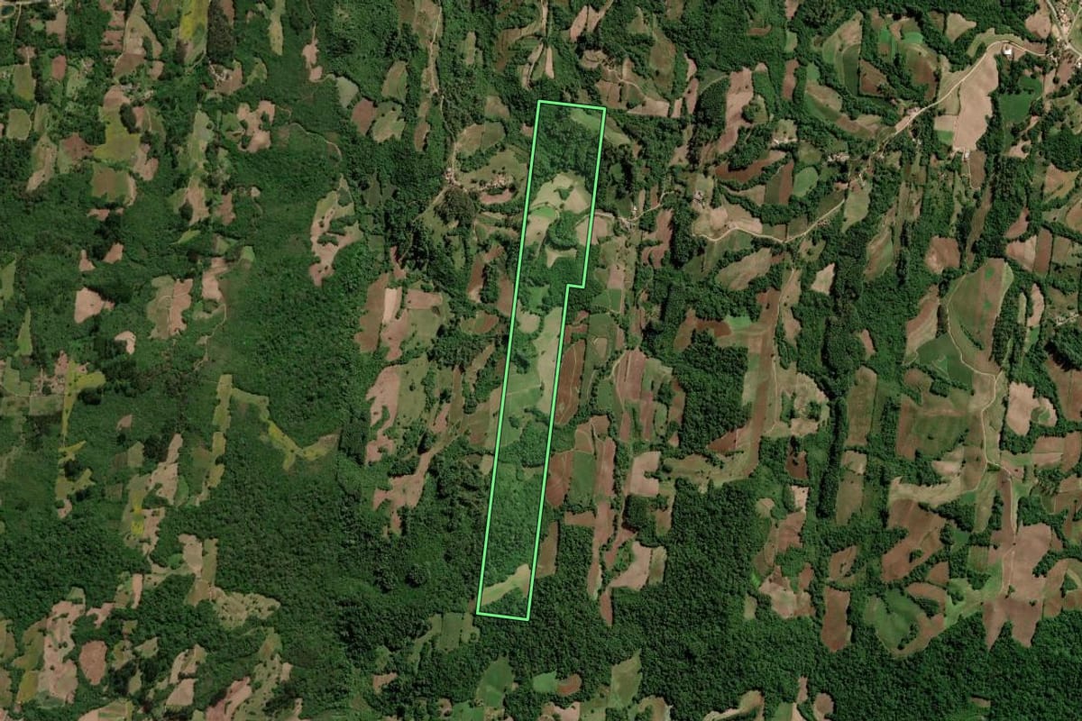Imagem de satélite do imóvel rural em São Lourenço do Sul (RS), com o contorno declarado no CAR desenhado por cima.